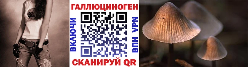 Псилоцибиновые грибы мицелий  Елец 