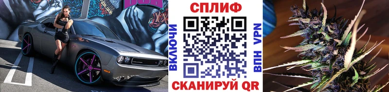 Бошки марихуана семена  цены   Елец 